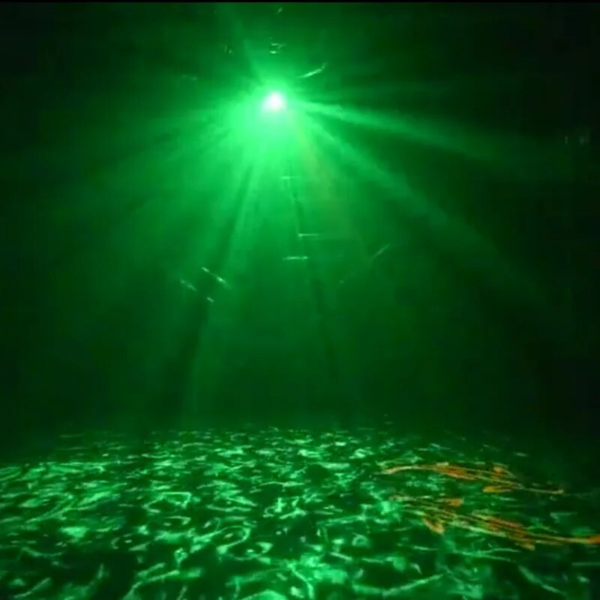 proyector-estroboscopico-laser-agua-learoy